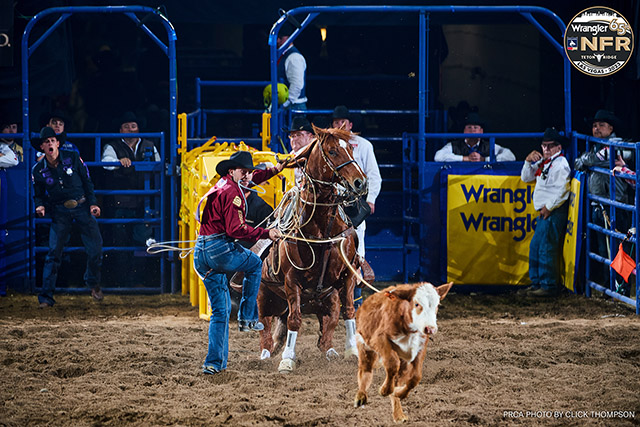 Haven Meged - new arena record